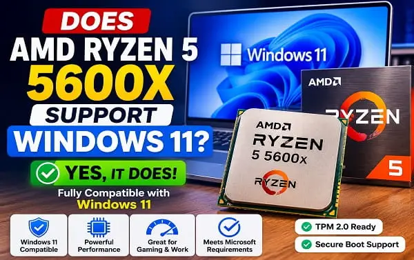 Does AMD Ryzen 5 5600X Support Windows 11? AMD Ryzen 5 5600X processor supporting Windows 11