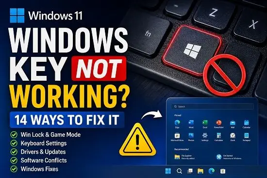 Windows Key Not Working in Windows 11? 14 Ways to Fix It Windows key not working in Windows 11 keyboard