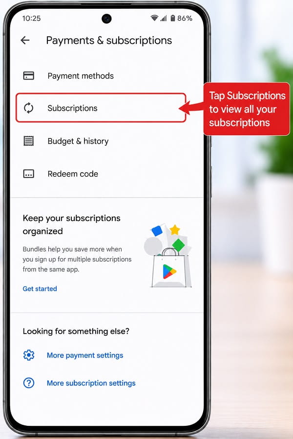 Subscriptions screen showing example subscription cards